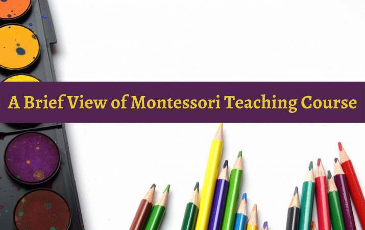 A Brief View of Montessori Teaching Course